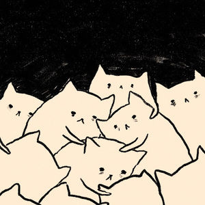 Meet your Posher, Kalissa